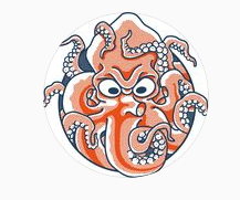 Octopus tattoo foto de perfil